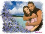 les stars